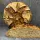 Roggen Saaten Sauerteig Brot