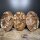Roggen Sauerteig Brot Gemischtes Set
